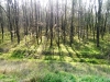 imag8672_1